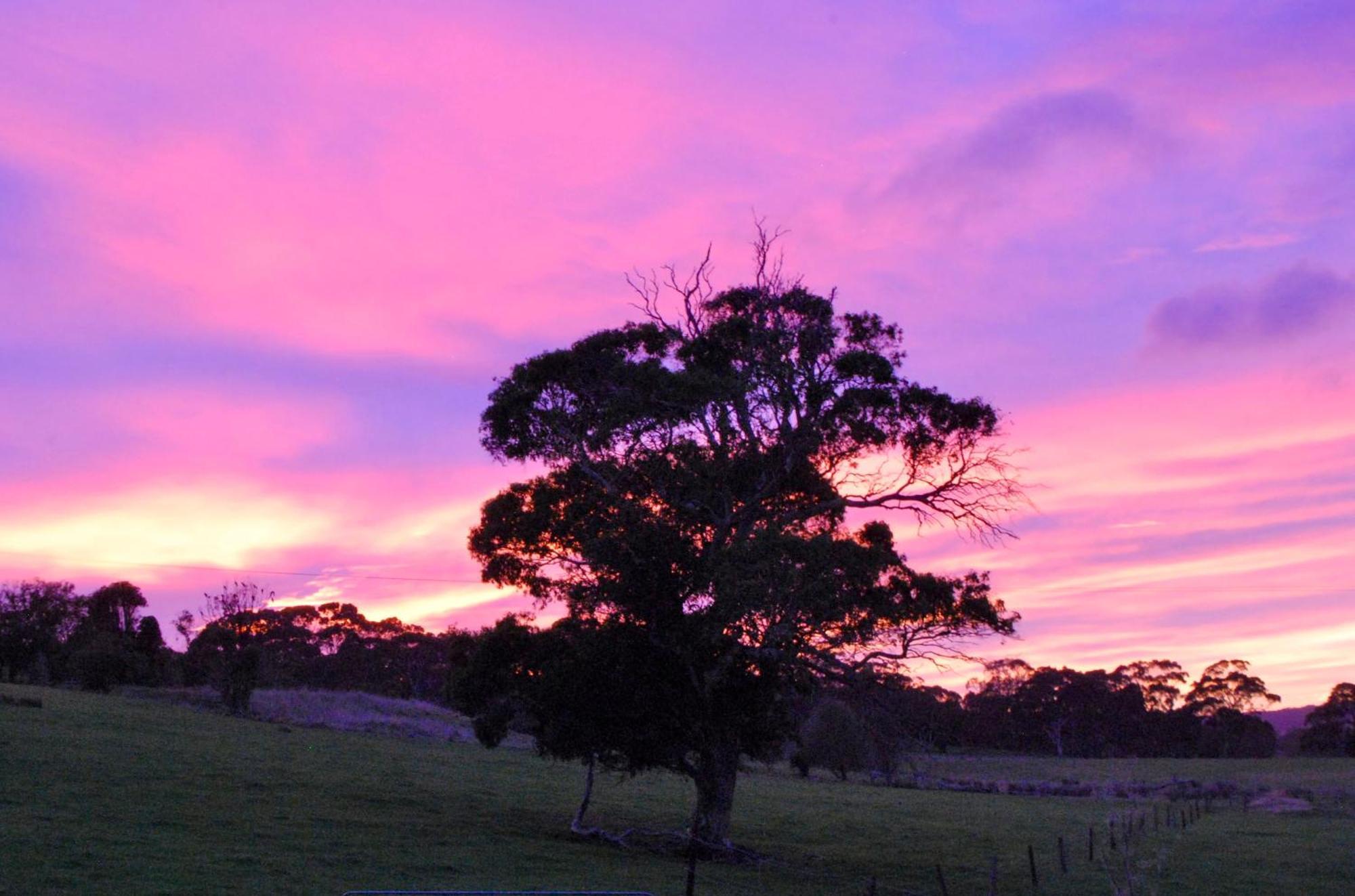 Back Valley Farmstay Bed And Breakfast Victor Harbor Eksteriør bilde
