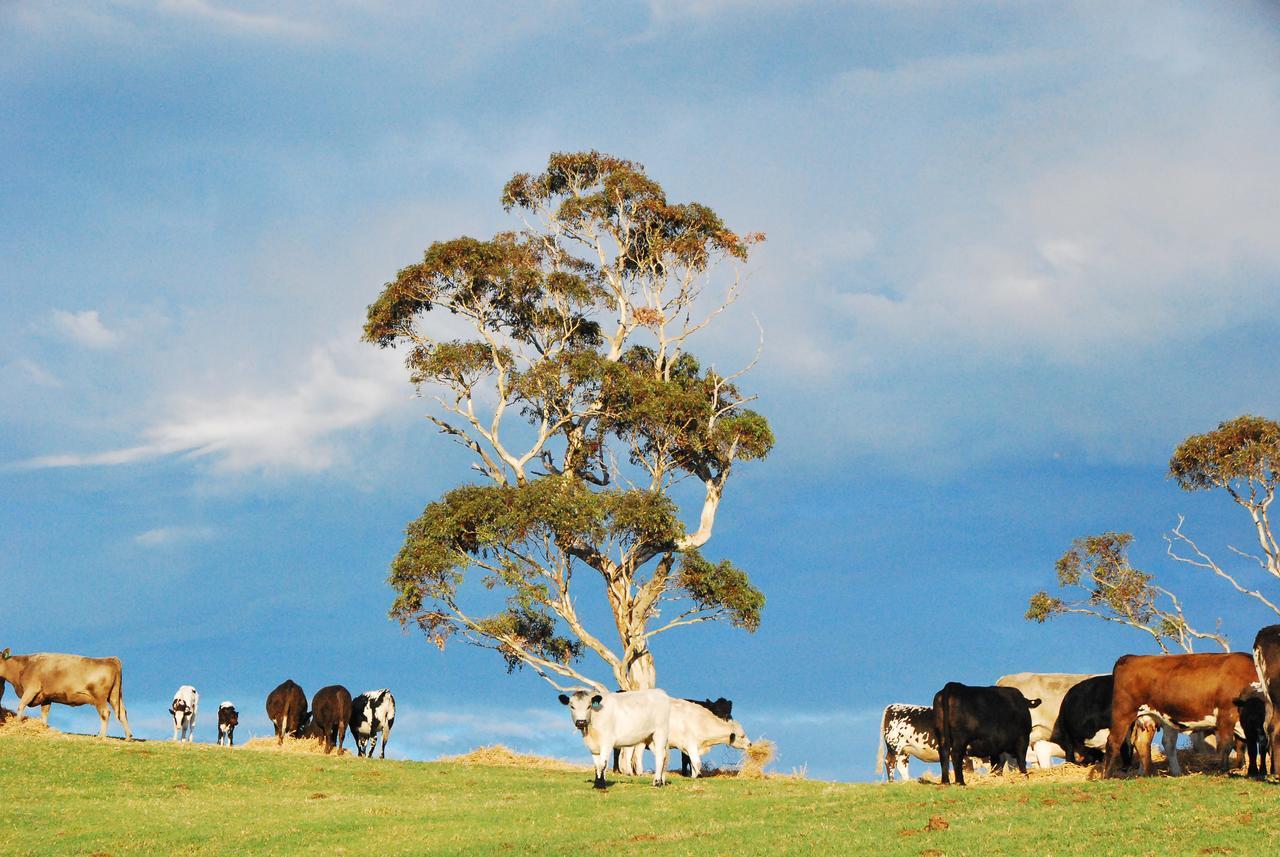 Back Valley Farmstay Bed And Breakfast Victor Harbor Eksteriør bilde