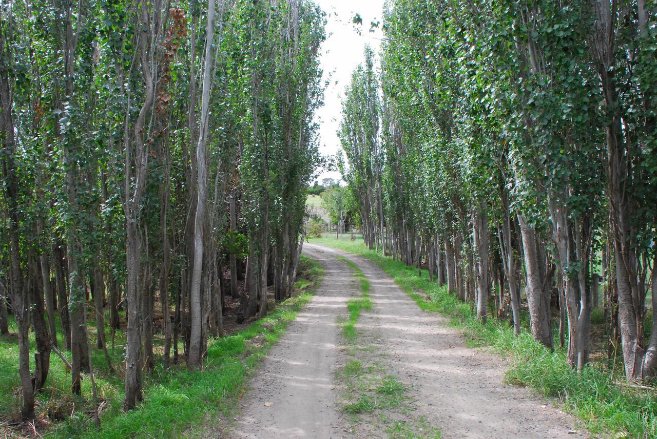 Back Valley Farmstay Bed And Breakfast Victor Harbor Eksteriør bilde