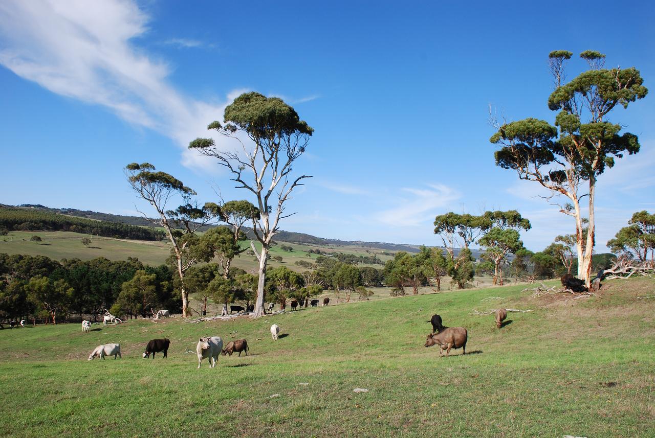 Back Valley Farmstay Bed And Breakfast Victor Harbor Eksteriør bilde